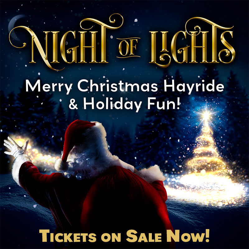 Night of Lights - Tickets on Sale Now!
